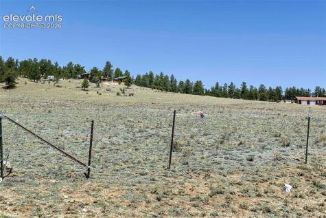 1999 Arapaho Trail Hartsel CO 80449
