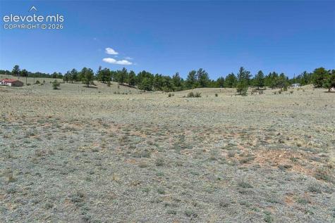 1999 Arapaho Trail Hartsel CO 80449
