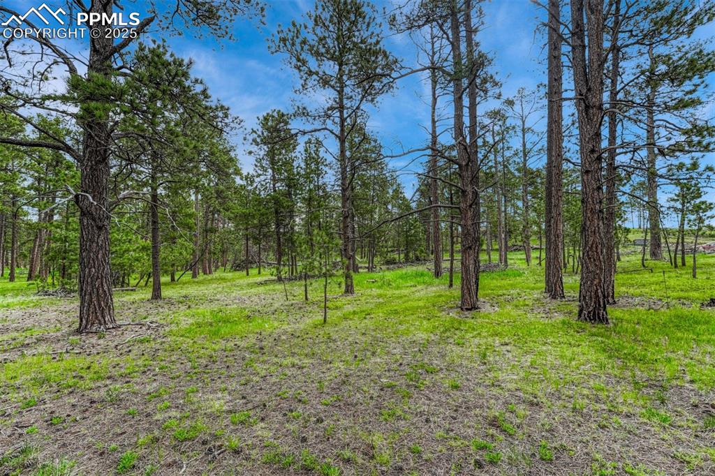 000 Wyandott Drive Colorado Springs CO 80908