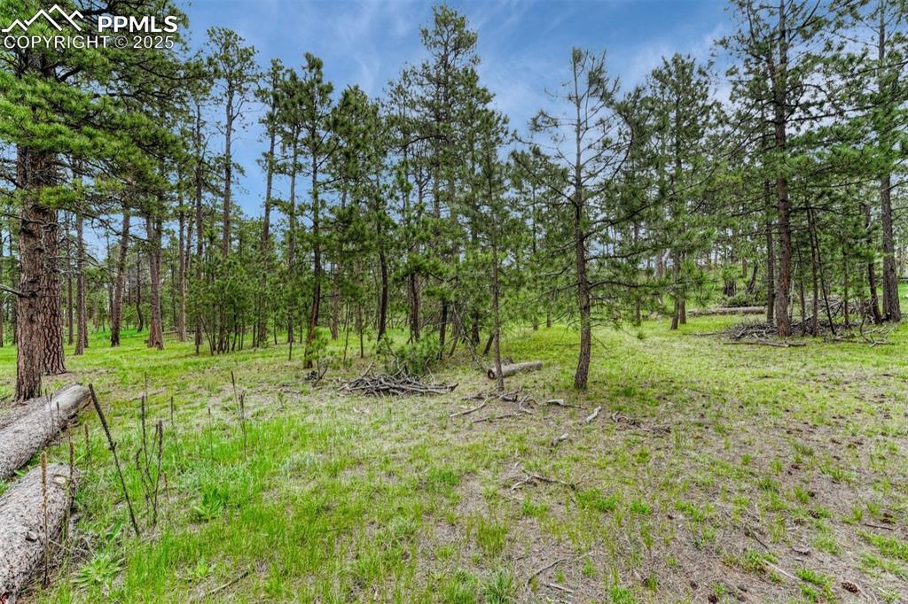 000 Wyandott Drive Colorado Springs CO 80908