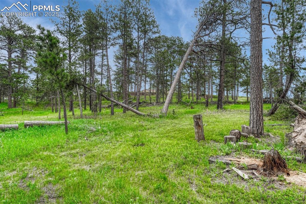 000 Wyandott Drive Colorado Springs CO 80908