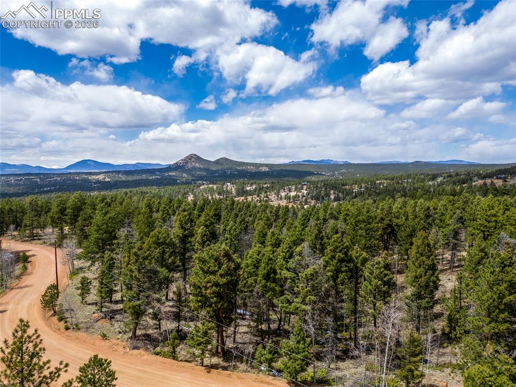 451 Chipeta Creek Trail Florissant CO 80816