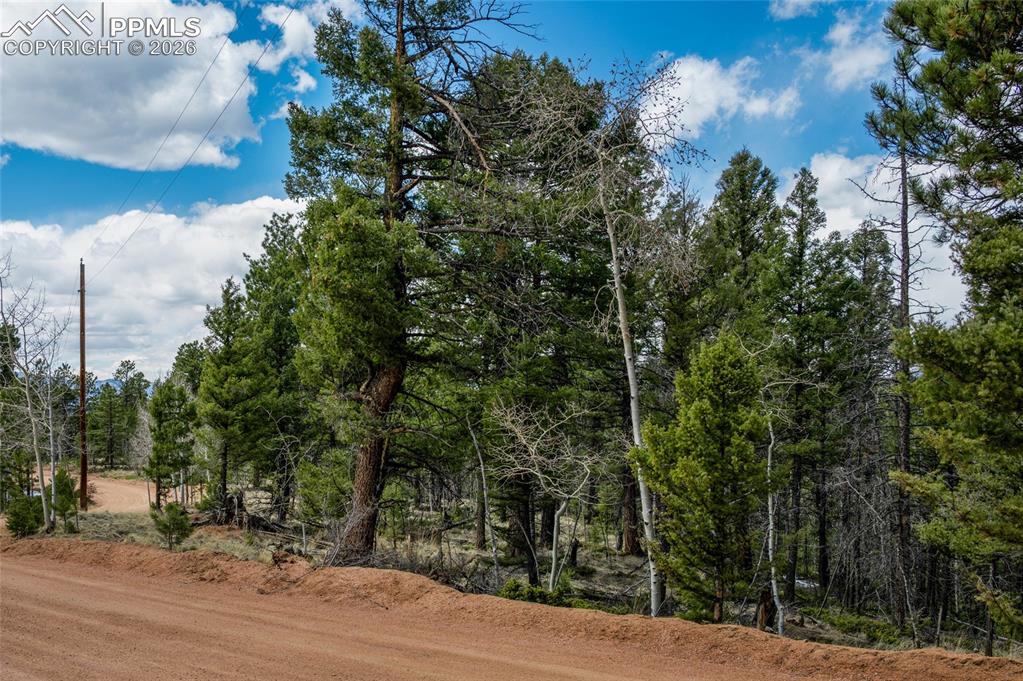 451 Chipeta Creek Trail Florissant CO 80816