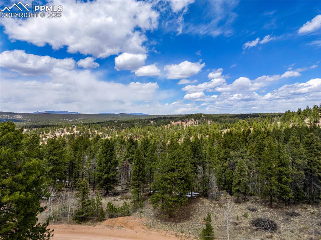 451 Chipeta Creek Trail Florissant CO 80816