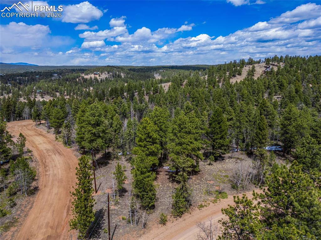 451 Chipeta Creek Trail Florissant CO 80816