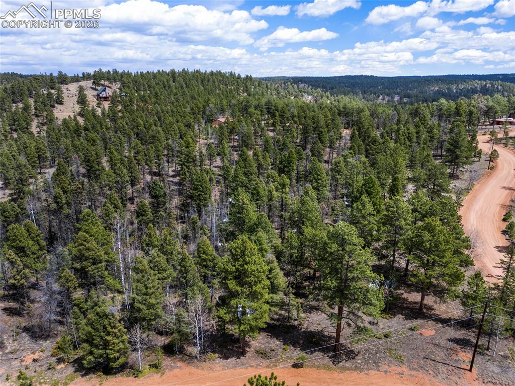 451 Chipeta Creek Trail Florissant CO 80816