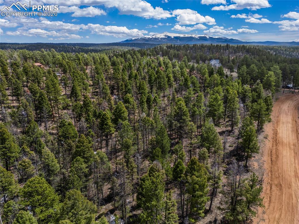 451 Chipeta Creek Trail Florissant CO 80816