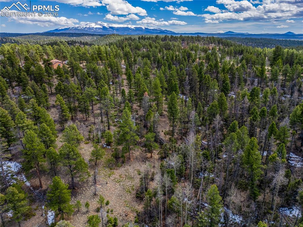 451 Chipeta Creek Trail Florissant CO 80816