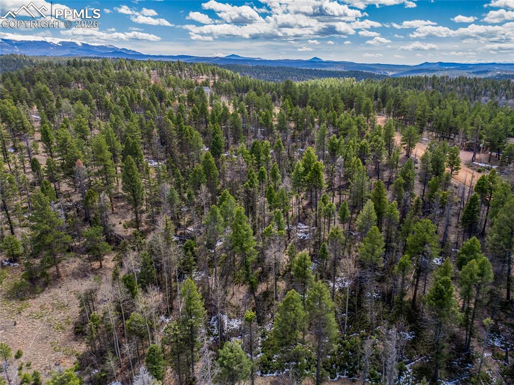 451 Chipeta Creek Trail Florissant CO 80816