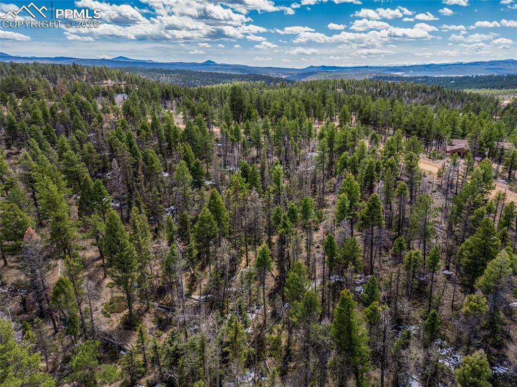 451 Chipeta Creek Trail Florissant CO 80816