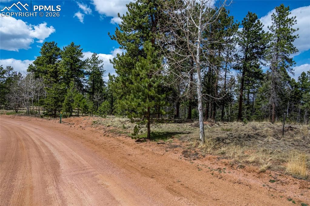 451 Chipeta Creek Trail Florissant CO 80816