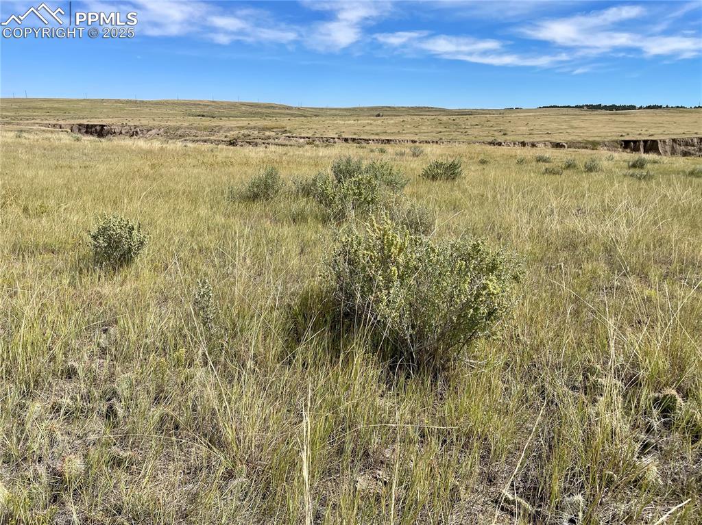17 County Road 77 Calhan CO 80808