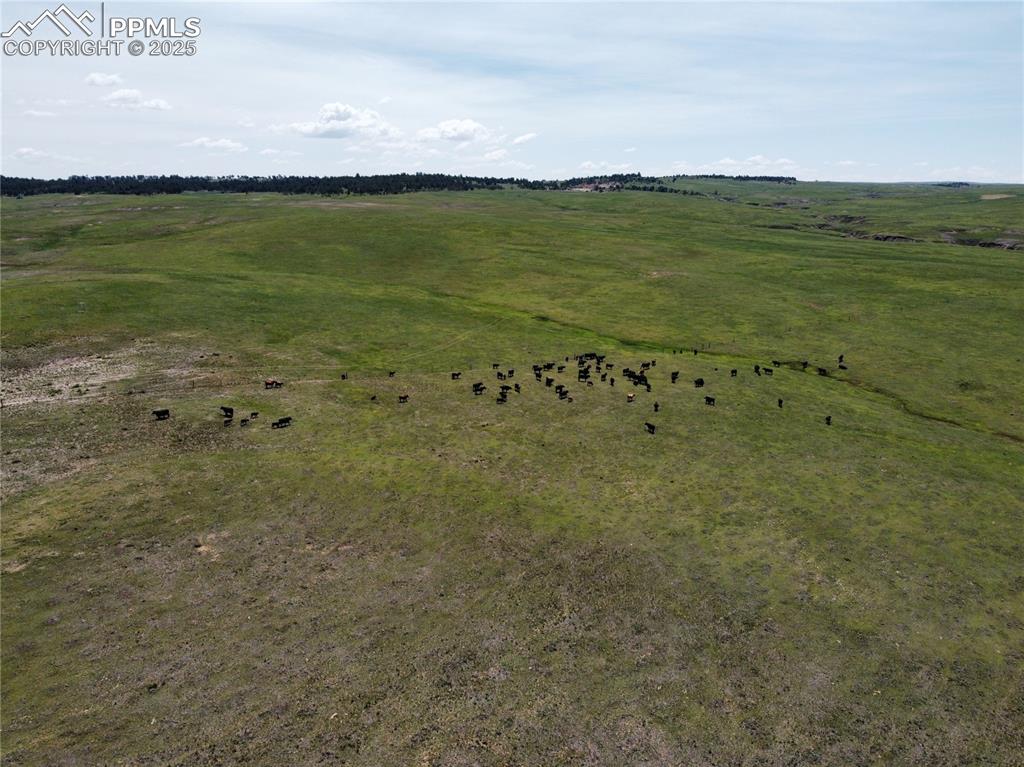 17 County Road 77 Calhan CO 80808