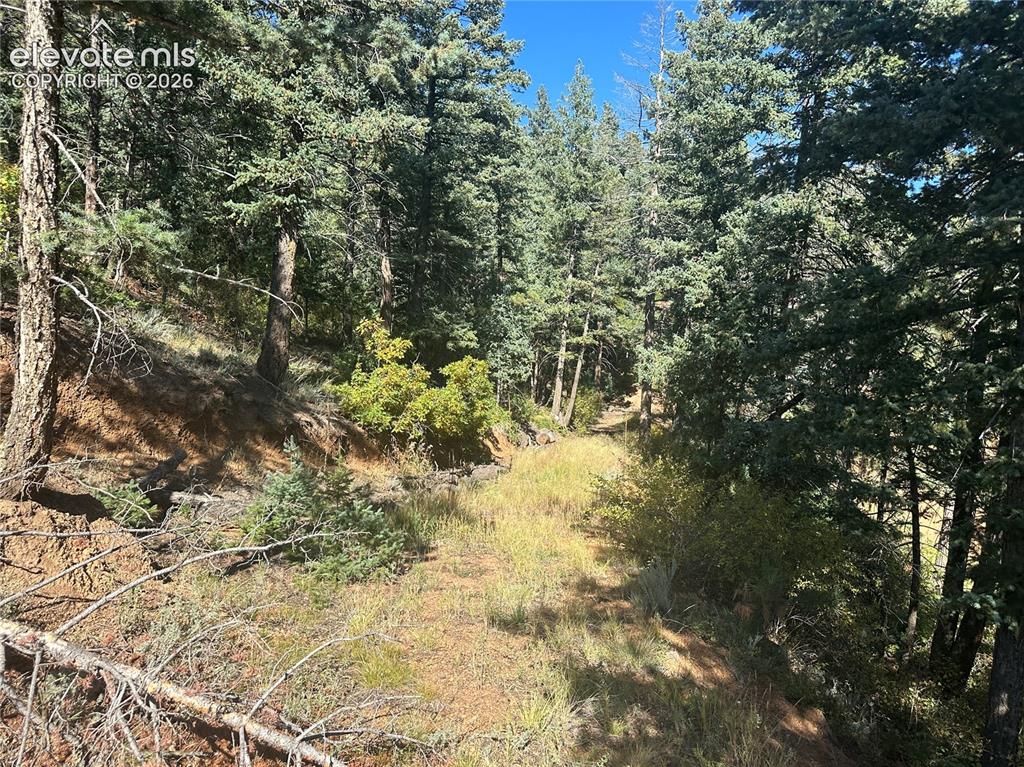 270 Upper Sun Valley Road Manitou Springs CO 80829