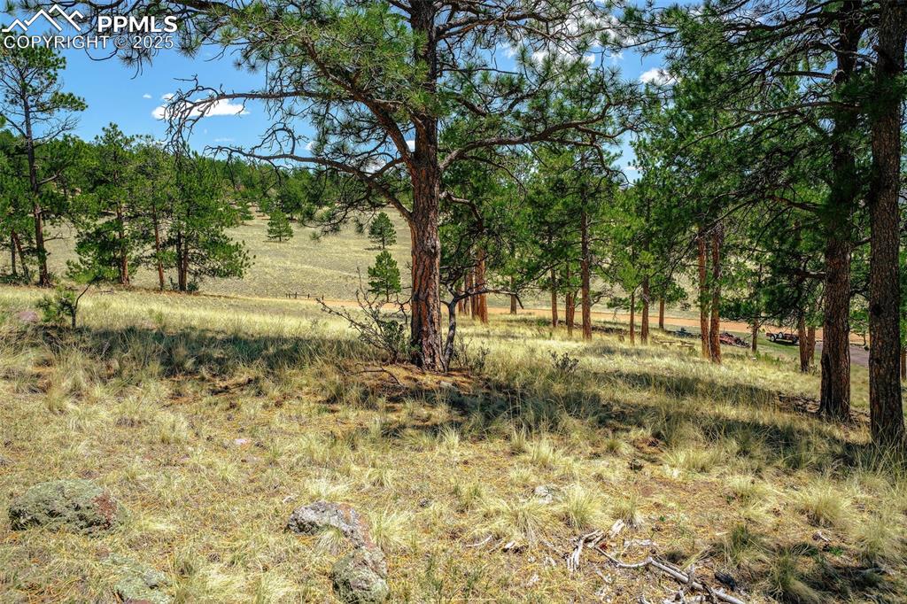 56 Dallas Park Circle Florissant CO 80816