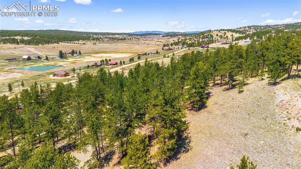 56 Dallas Park Circle Florissant CO 80816