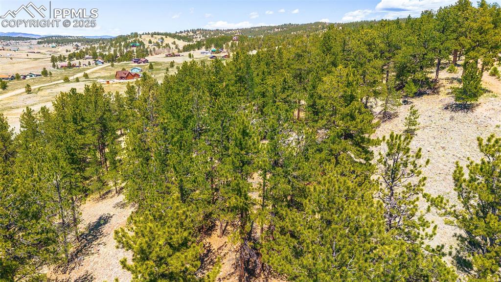 56 Dallas Park Circle Florissant CO 80816