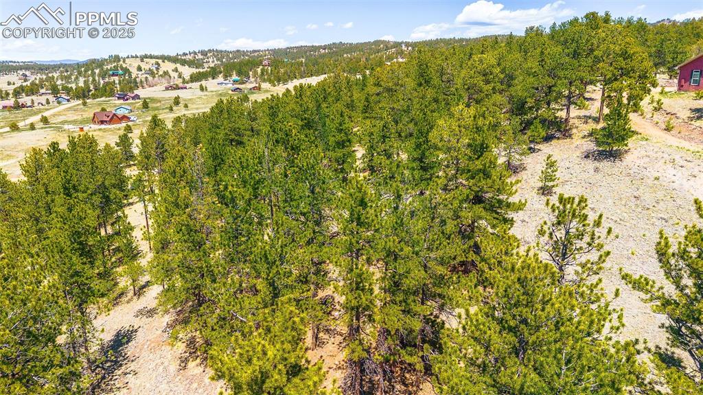 56 Dallas Park Circle Florissant CO 80816