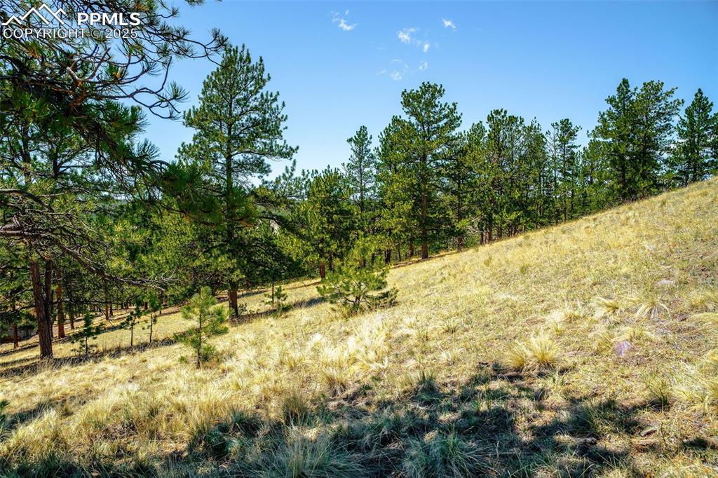 56 Dallas Park Circle Florissant CO 80816