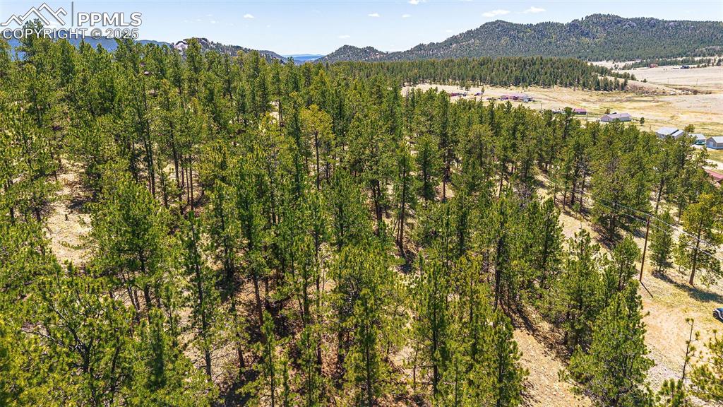 56 Dallas Park Circle Florissant CO 80816