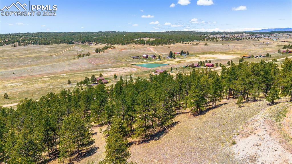 56 Dallas Park Circle Florissant CO 80816