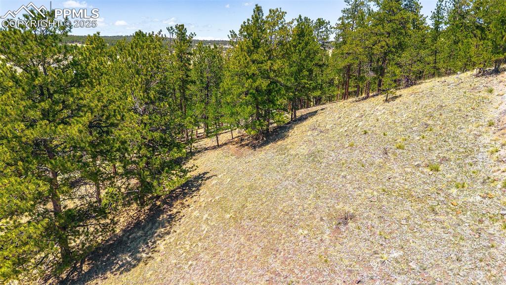 56 Dallas Park Circle Florissant CO 80816