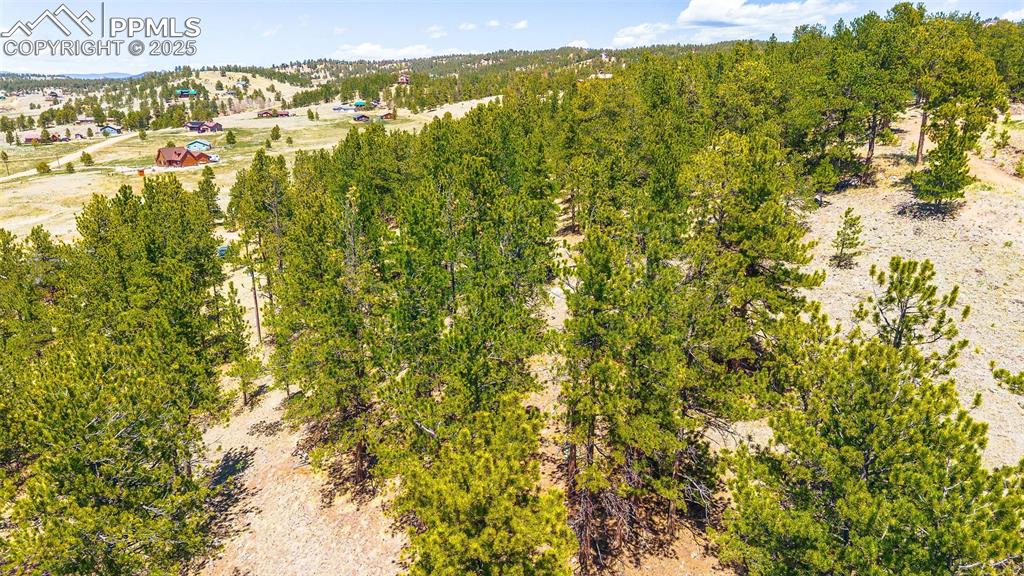 56 Dallas Park Circle Florissant CO 80816