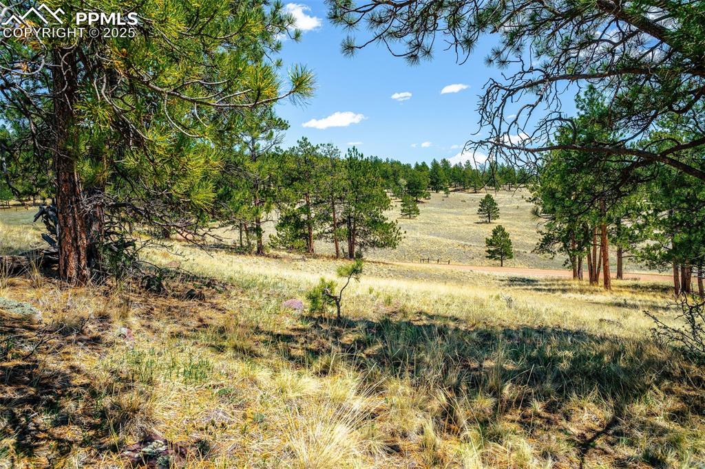 56 Dallas Park Circle Florissant CO 80816