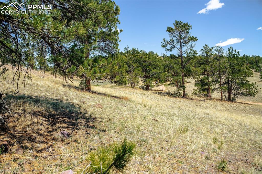 56 Dallas Park Circle Florissant CO 80816