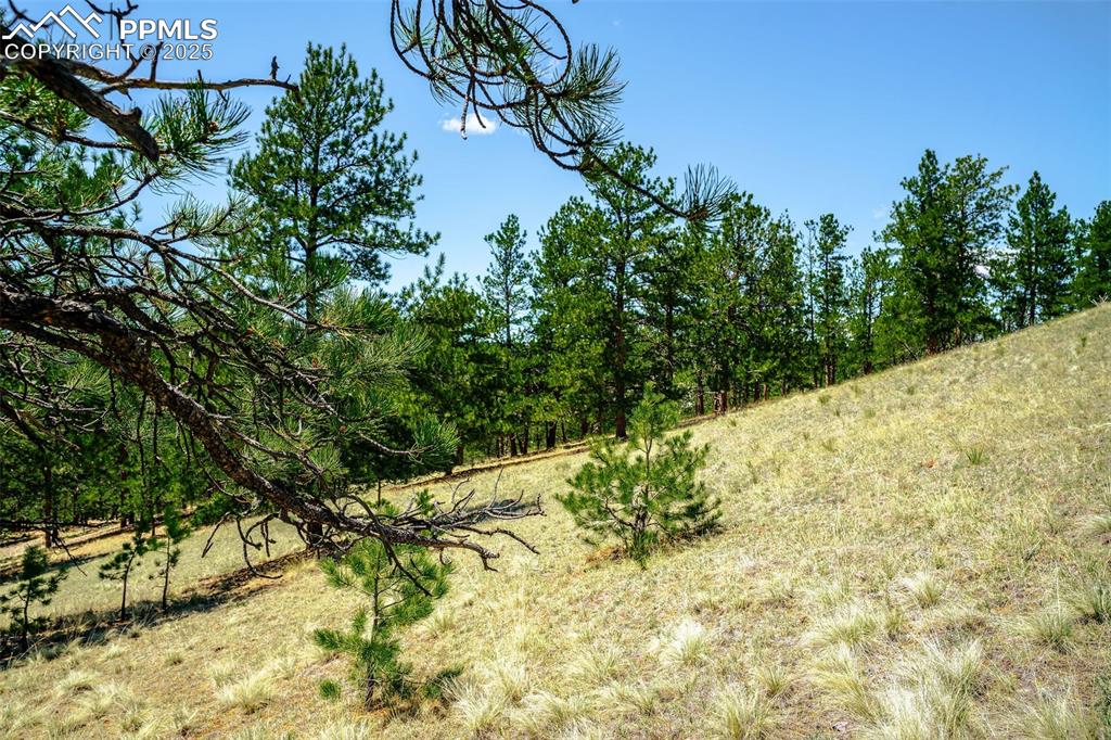 56 Dallas Park Circle Florissant CO 80816