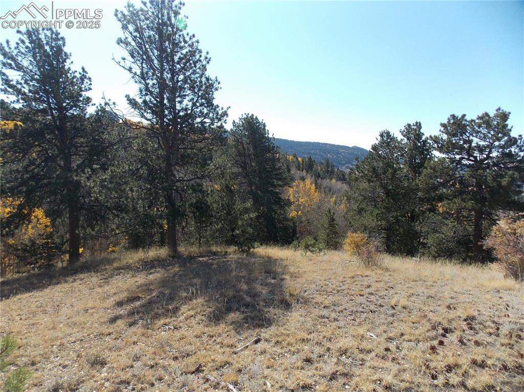 1944 May Queen Drive Cripple Creek CO 80813