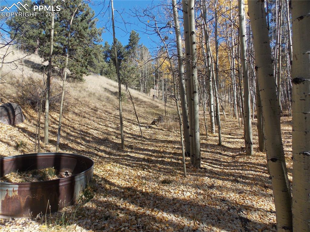 1944 May Queen Drive Cripple Creek CO 80813