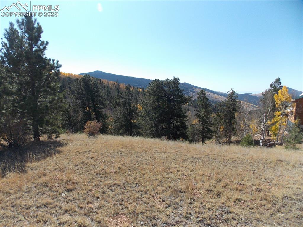 1944 May Queen Drive Cripple Creek CO 80813