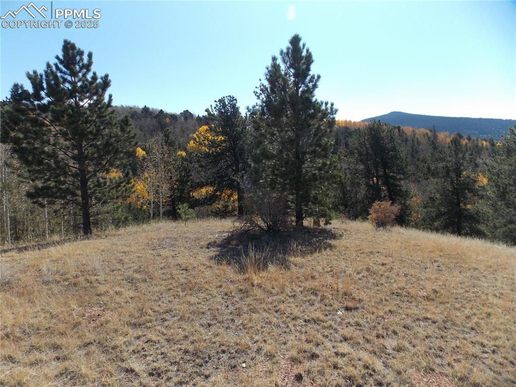 1944 May Queen Drive Cripple Creek CO 80813