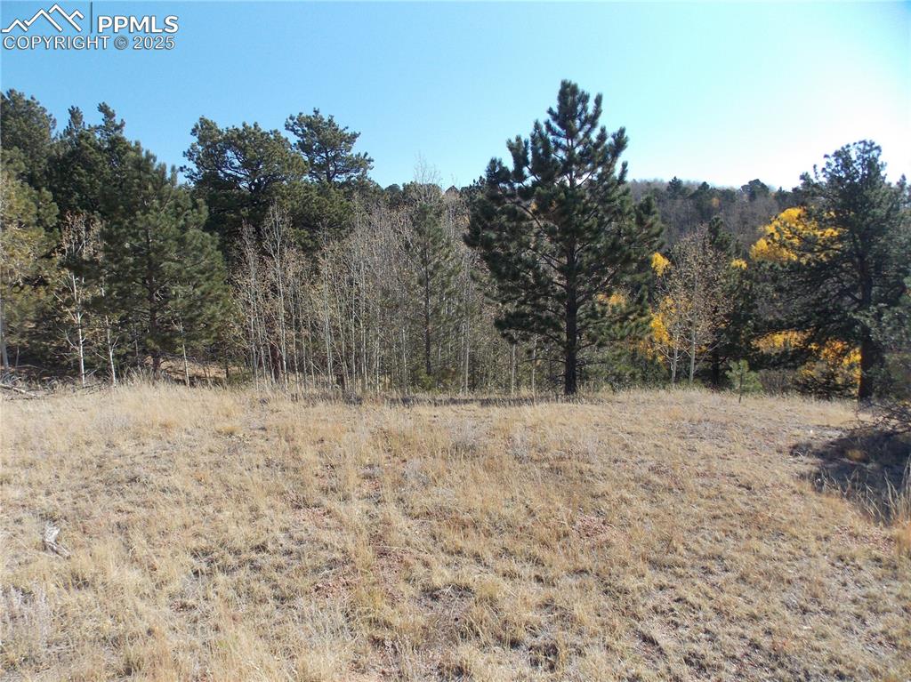1944 May Queen Drive Cripple Creek CO 80813