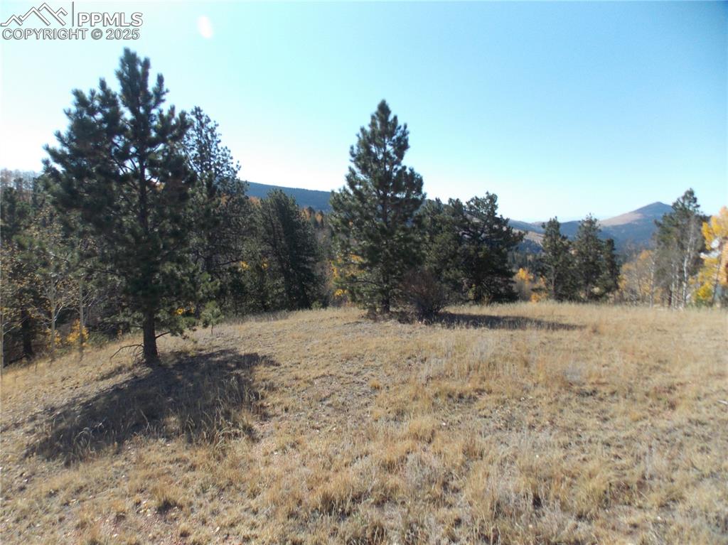 1944 May Queen Drive Cripple Creek CO 80813