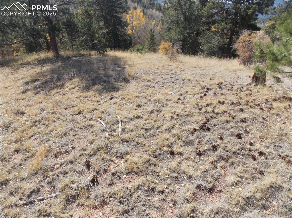 1944 May Queen Drive Cripple Creek CO 80813