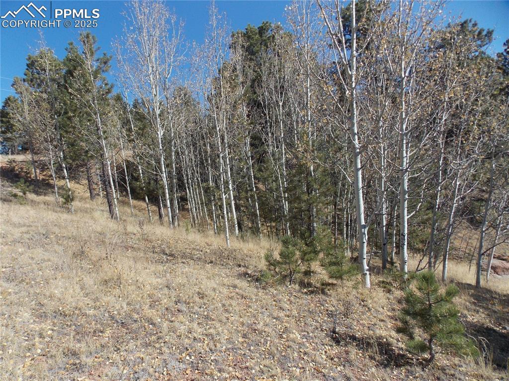 1944 May Queen Drive Cripple Creek CO 80813