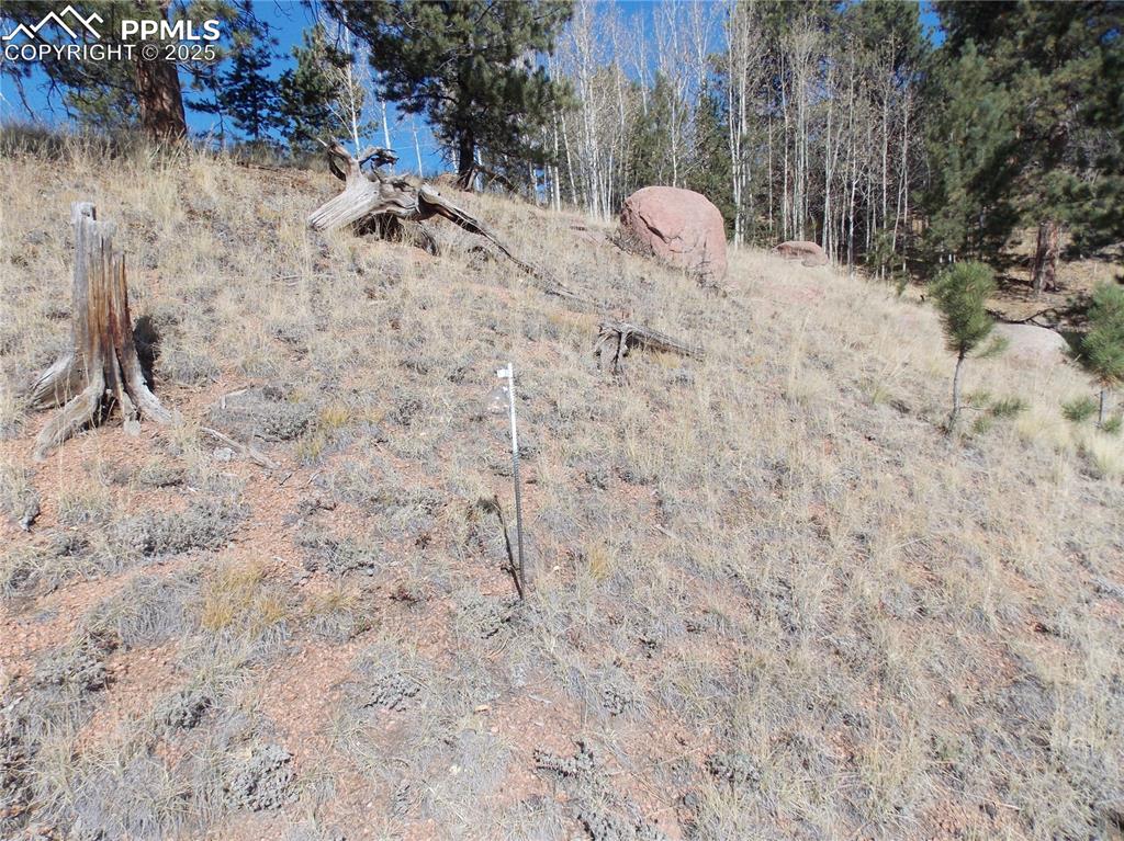 1944 May Queen Drive Cripple Creek CO 80813