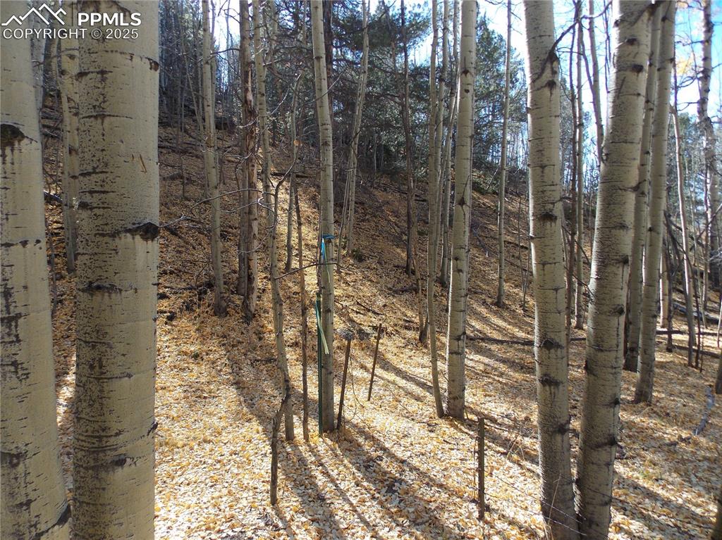 1944 May Queen Drive Cripple Creek CO 80813