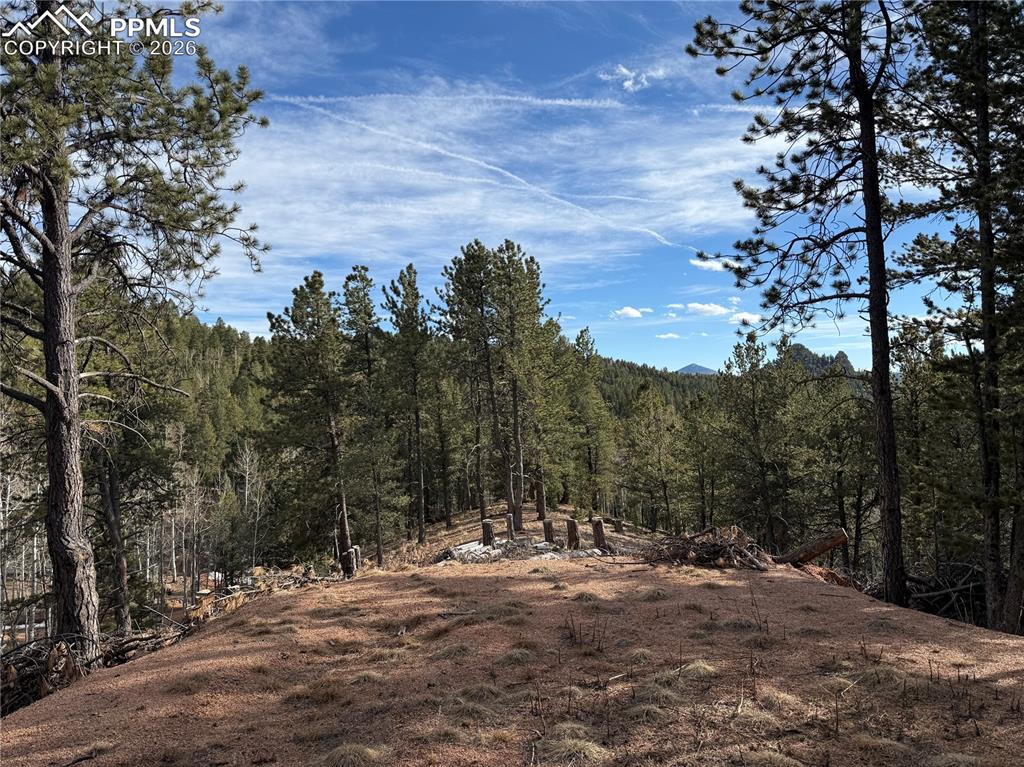 162 Eagle Drive Divide CO 80813