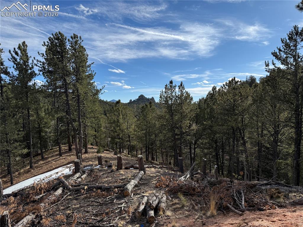 162 Eagle Drive Divide CO 80813