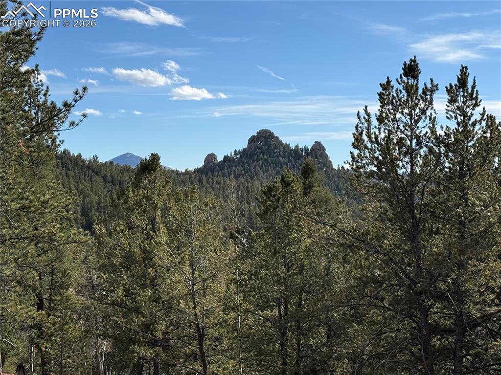 162 Eagle Drive Divide CO 80813