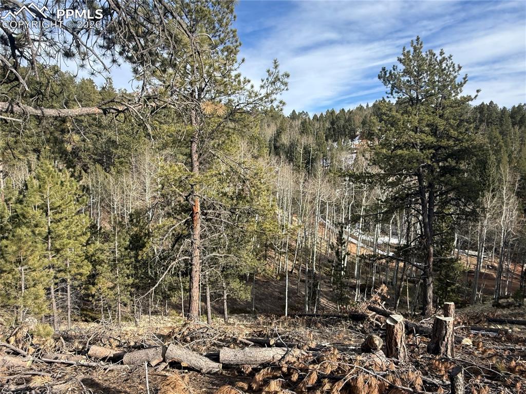 162 Eagle Drive Divide CO 80813