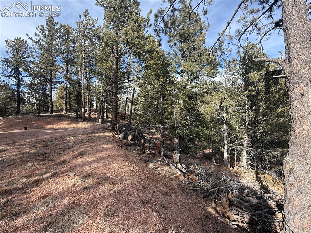 162 Eagle Drive Divide CO 80813