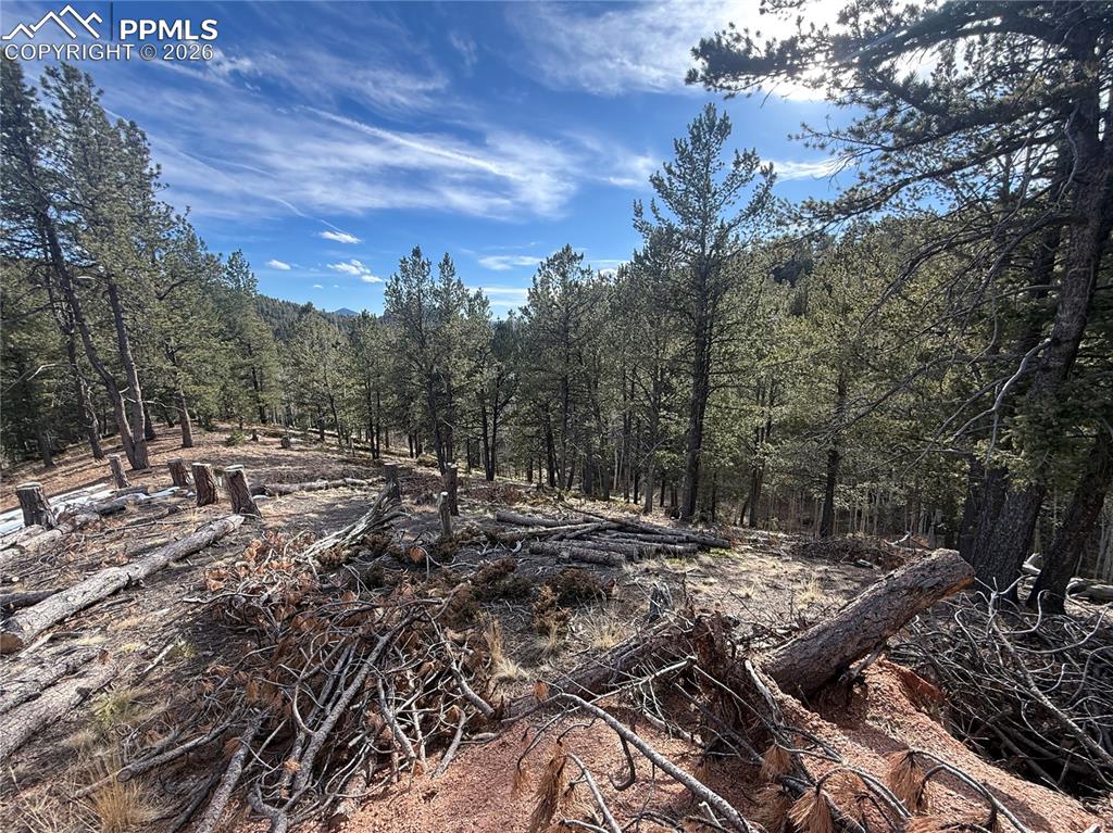162 Eagle Drive Divide CO 80813
