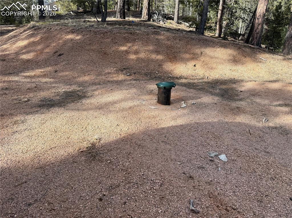 162 Eagle Drive Divide CO 80813
