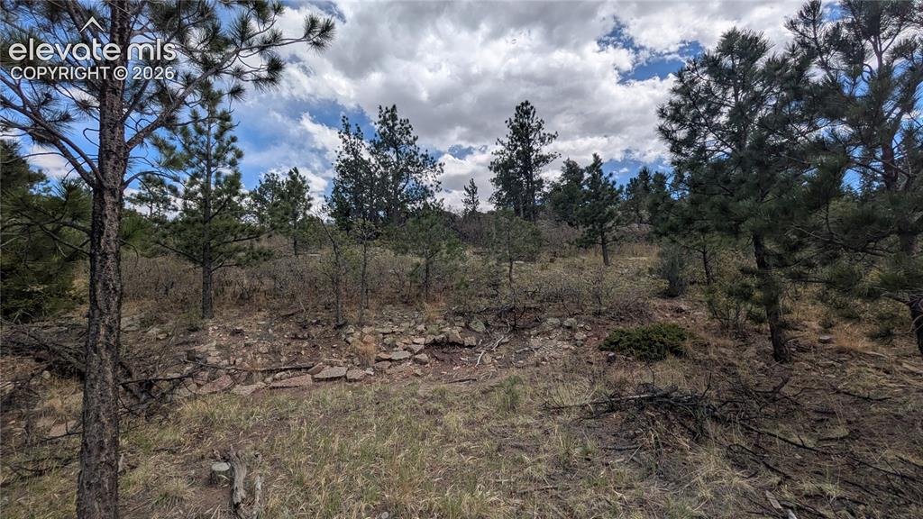 1245 Glenrock Drive Colorado Springs CO 80926