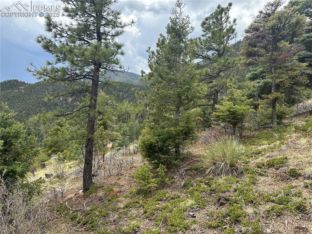 275 Upper Vista Road Manitou Springs CO 80829