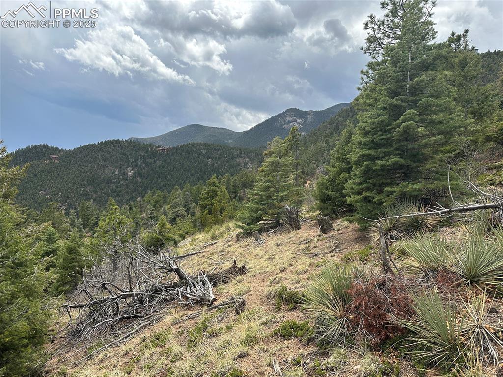 275 Upper Vista Road Manitou Springs CO 80829